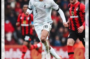 乐竟体育官网-伯恩茅斯客场告捷，保住保级希望